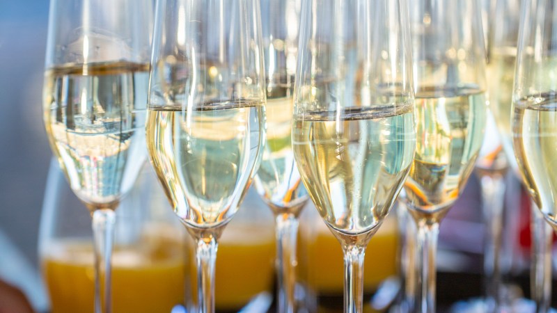 Several champagne glasses on a tray, filled with a bubbly liquid.